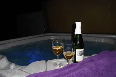 Image de *** Propriétaire Mngd & Shows! Des invités heureux! Mises à jour Thru-Out & Private Hot Tub!