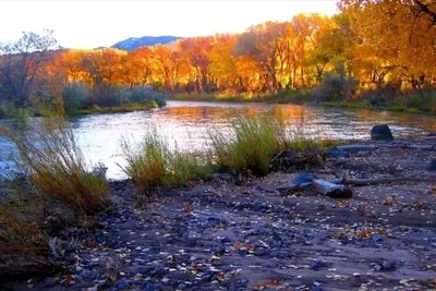 Image de Sur la rivière Rio Grande! ! Rinconada Rio Grande Retraite
