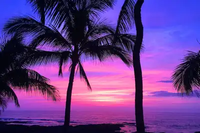 Image de Puako Oceanfront sur une plage de sable avec des cocotiers!