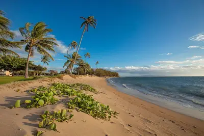 Image de Nouvelle Inscription A301 Kihei Beauty en bord de mer. Cuisine et bains rénovés, mis à jour.