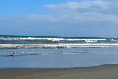 Image de Directement sur la plage, vue sur l'océan, moderne 2br \/ 2b, 2 balcons