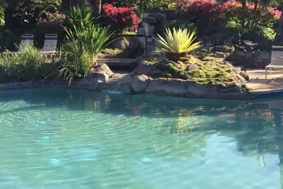 Image de Vente! ! ! Le mois de septembre est si paisible ici et les plages sont calmes! Viens et amuse toi!