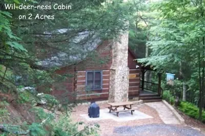 Image de Wil-Deer-Ness Cabin- calme * Foyer * Hot Tub * River * * WiFi * Hamac Dog Friendly