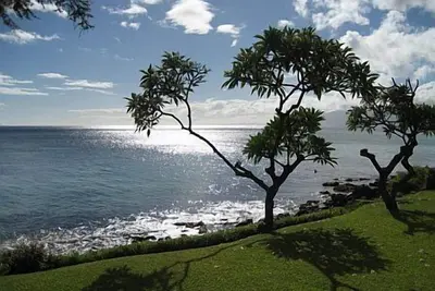 Image de Situé directement sur le bord de l'océan avec des vues spectaculaires