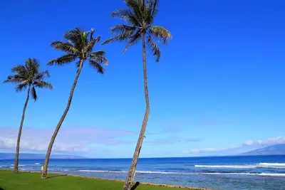 Image de Oceanview Incroyable 1-Bdrm / 1-Bath Maui at Papakea Kaanapali
