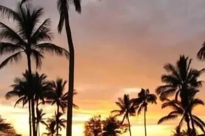 Image de Spectaculaire océan Maui Sunset View