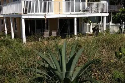 Image de La plage 4 Chambre Condo à Cap Canaveral, Floride!