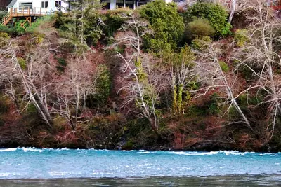 Image de Retraite Riverfront Redwood