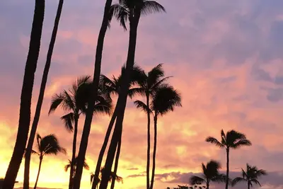 Image de Magnifique complexe en bord de mer à Maui! Kanai A Nalu à partir de 190 $, avec parking gratuit!