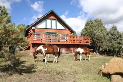 Image de Belle maison en bois rond sur cinq acres avec des installations pour chevaux!