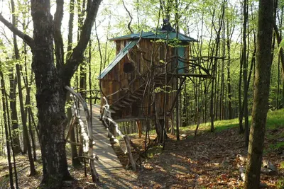 Image de Vermont Treehouse: The Hermit Thrush Treehouse, passez un week-end dans les arbres