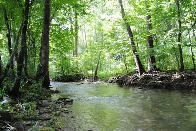 Image de Creekside Chalet, Excellent pour les grands groupes, 2 Mls de Pigeon Forge Parkway💟