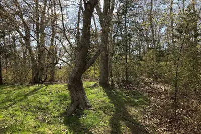 Image de Lambert's Cove Bog House
