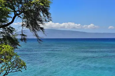 Image de Unité de bord de mer, jardins tropicaux luxuriants et une vue imprenable! ! ! Kuleana Resort # 709