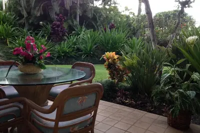 Image de Rez-de-chaussée Magnifique vue sur le jardin près de la piscine