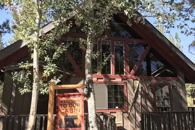 Image de Notre Beary Happy Place