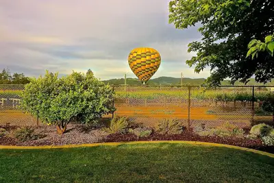 Image de Vues vignoble au coeur de la vallée de Napa