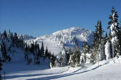 Image de Le meilleur emplacement ski in / ski out avec bain à remous privé et barbecue