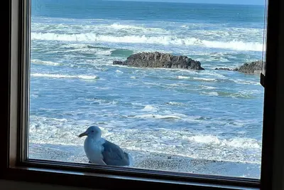 Image de Luxury Oceanfront Spectaculaire Accueil!