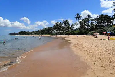 Image de 189 $ spécial août / septembre: Wailea Ekahi Beachfront Condo