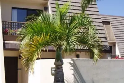 Image de Paradise à Maui - Maui Kamaole Resort!