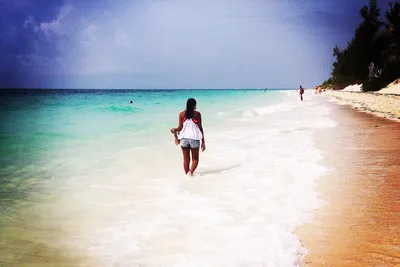 Image de Coconut Palm, Freeport Bahamas