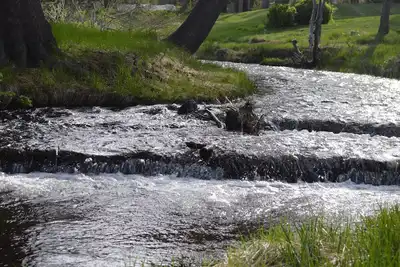 Image de Superbe maison sur un magnifique ruisseau et réserve naturelle - Vues rénovées et Mtn! !