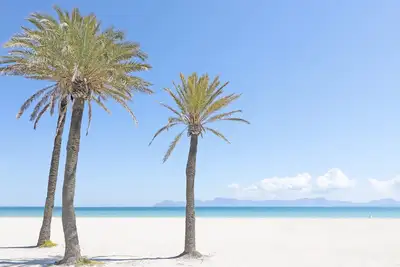 Image de Bonavida Apartments