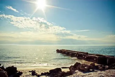 Image de Siesta Key Beach Cottage en face de la plage n ° 1 Aux États-Unis