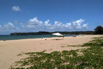 Image de Old Style beach house on Hanalei Bay;stunning mountain view, ocean breezes