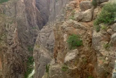 Image de Rose Haven Cottage est une petite maison confortable. Au coeur de Montrose.