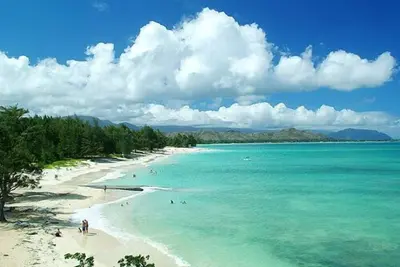 Image de Paradis sous l'arbre de Plumeria