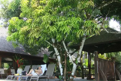 Image de La Maison Bali à la plage, la meilleure maison et le meilleur emplacement de loin!