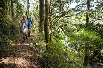 Image de Ferme Cone Hill - Cadre idyllique - 15 minutes de Raglan