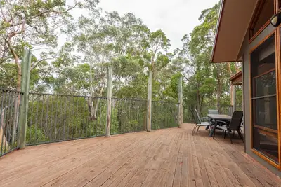 Image de Bullaburra-treescape soutient le Blue Mountains Nat Park
