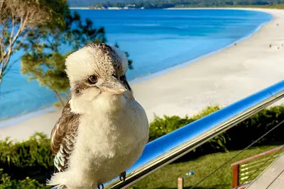 Image de Walters Holiday Flats @ Hyams Beach (Flat 3) - Book 7 nights pay for only 6*