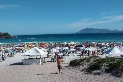 Image de Praia do Forte avec 3 chambres, 1 suite, chaînes de télévision payantes et Internet. Rue calme