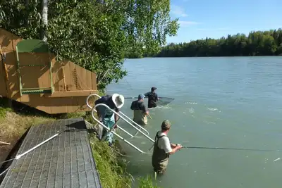 Image de Directement sur la rivière Kenai! Condo confortable idéal pour la pêche ou le tourisme