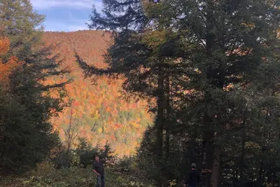 Image de Private Mountain View, minutes de ski, snowboard, saison 2019