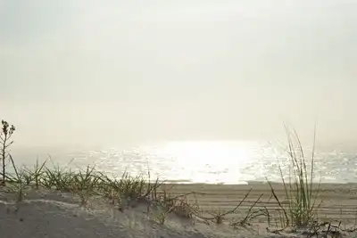 Image de Magnifiquement mis à jour ~ Direct Ocean Front ~ Mid-Town ~ Lumineux ~ Confortable