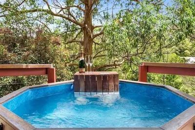 Image de Studio de luxe romantique dans les cimes fraîches des arbres avec bain à remous extérieur et feu de bois