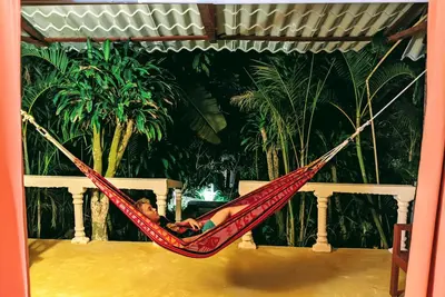 Image de Le Bungalow HoneyMooners (n ° 1) à Jurassic Park