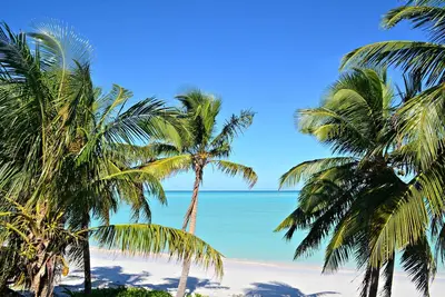 Beach View grand deux lits \/ salle de bain directement sur la plage de Spanish Wells