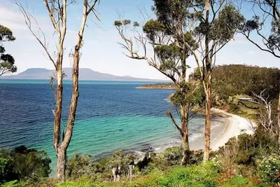 Image de Nosh Holiday: Une maison de luxe respectueuse de l'environnement Ă Spring Beach
