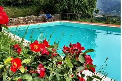 Image de Ferme toscane dans les collines avec vue imprenable et piscine - Près de Barga, Castelnuovo