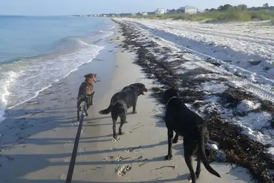 Image de Beaux couchers de soleil! Étapes à la plage!