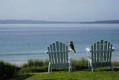 Image de Mer-Rene Sur La Plage