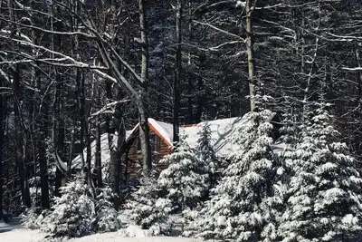 Image de Belle cabine pour une escapade abordable!
