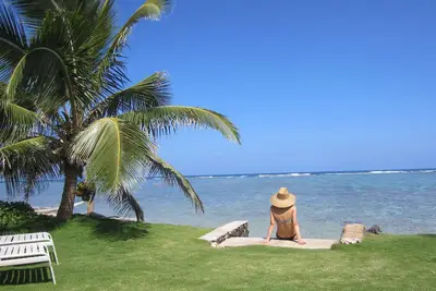 Image de Superbe Oceanfront ~ Tortues nageant juste dans le jardin