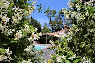 Image de Les Sittelles Pinarello Au calme, piscine privée chauffée, tout près de la plage